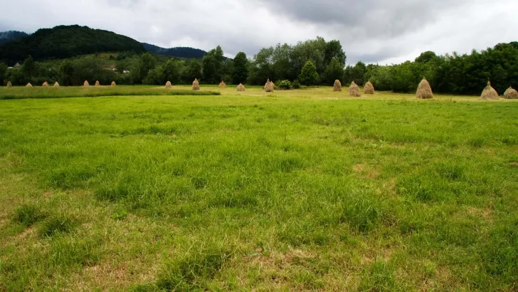 Ministerul Mediului: Ideea că fermierii ar urma să fie excluși din zonele prioritare pentru biodiversitate reprezintă o dezinformare