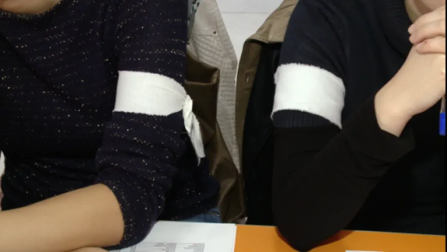 Grevă japoneză în Timiș – reacția Ministrului Învățământului