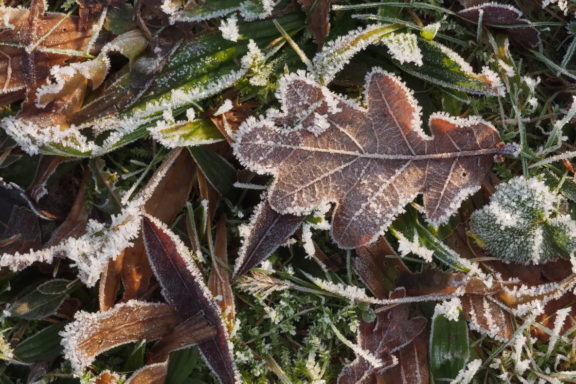 Frigul a pus stăpânire pe vestul țării, când cresc temperaturile