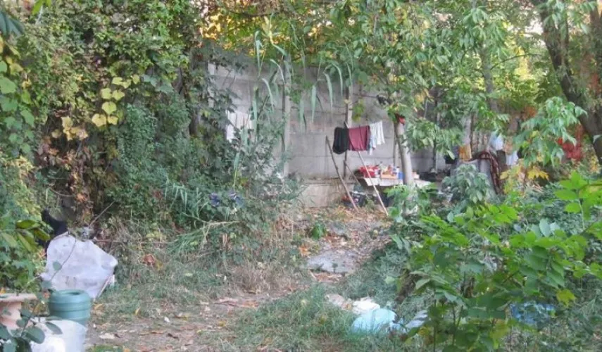 Colibe demolate de polițiștii locali