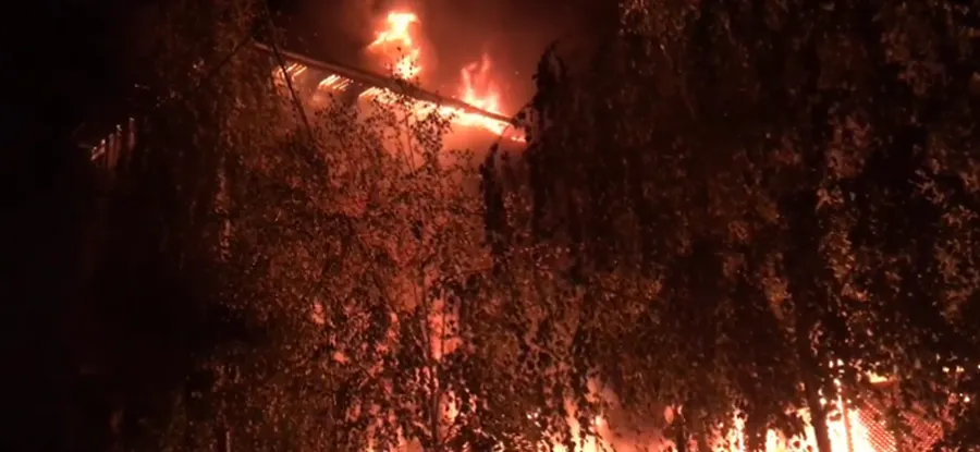 Incendiu de proporții în miez de noapte în Complexul Studențesc din Timișoara