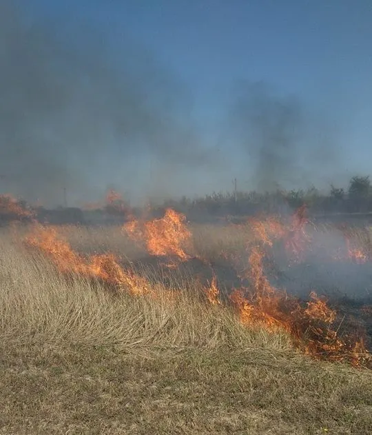 Amenzi pentru cei care dau foc la miriști