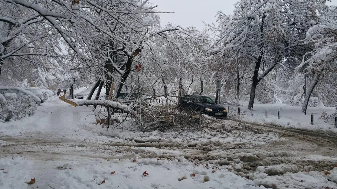 Avalanșă de urgențe, în Timișoara, din cauza zăpezii