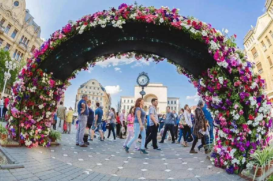 Timfloralis, cel mai parfumat festival din Timișoara, aproape de start