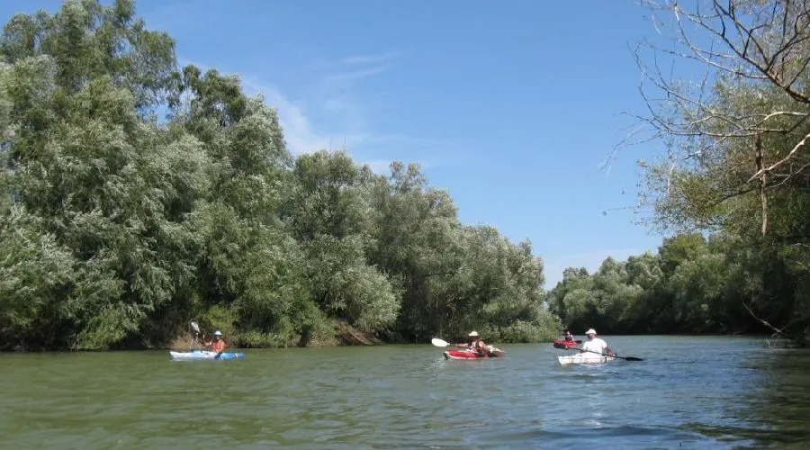 Timișul, județul care pierde turiști