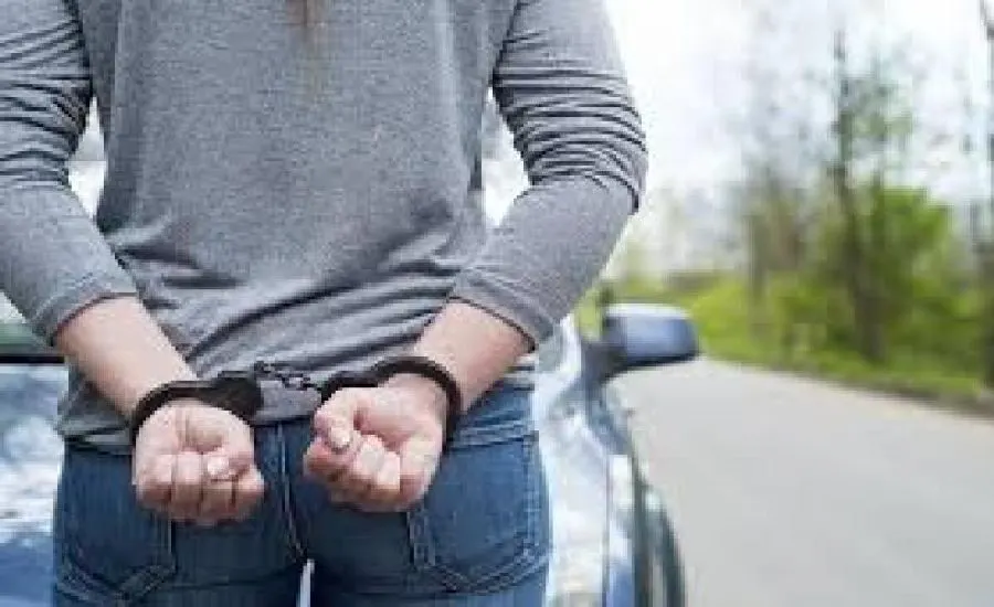 Banda de hoațe prinsă de polițiști la Timișoara