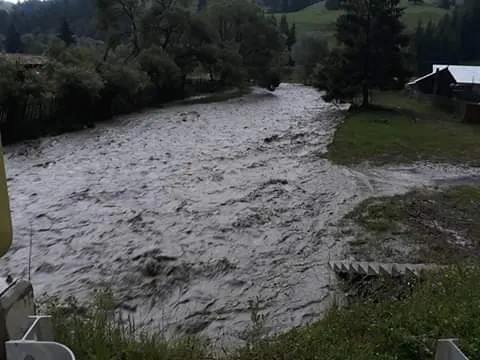 Cod roșu pe râul Bega, s-a atins nivelul maxim istoric. VIDEO