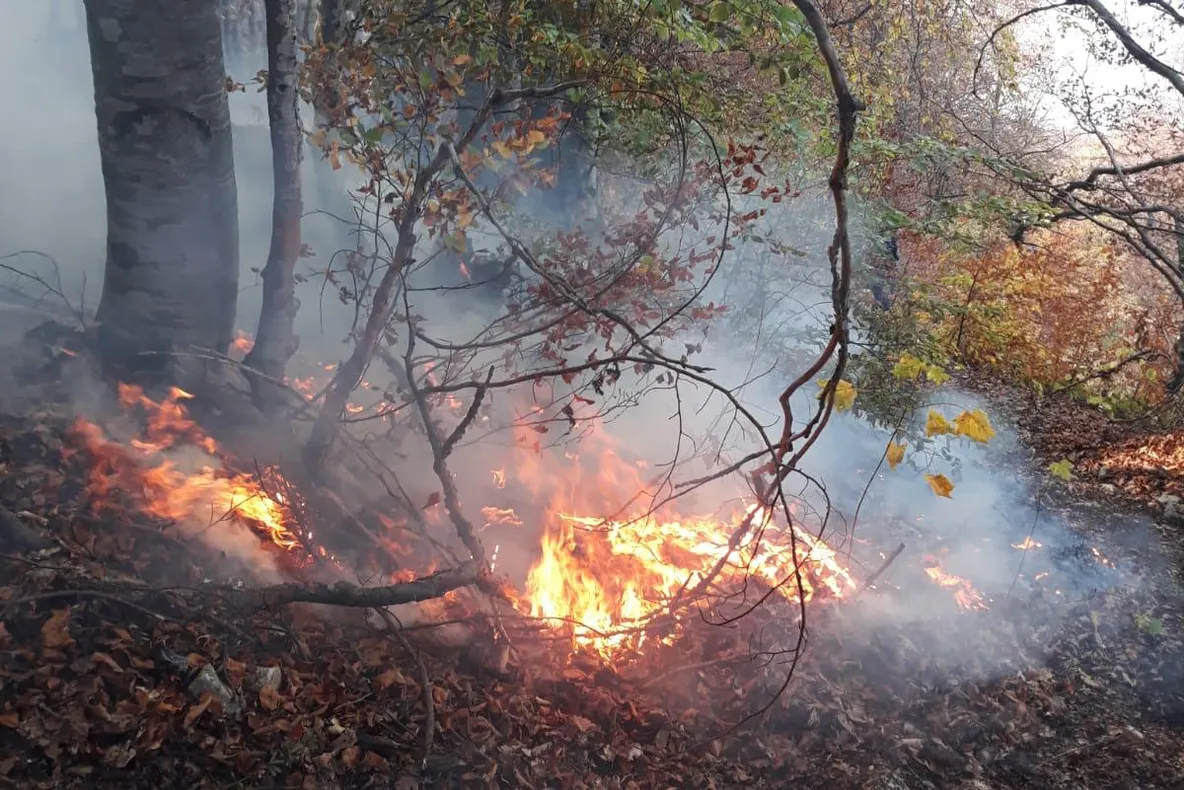 Incendiu devastator în Timișoara. Casă cuprinsă de flăcări. VIDEO!