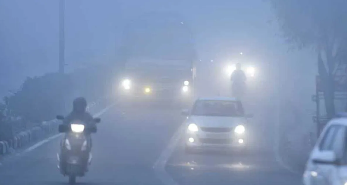 Timișoara, alertă de poluare