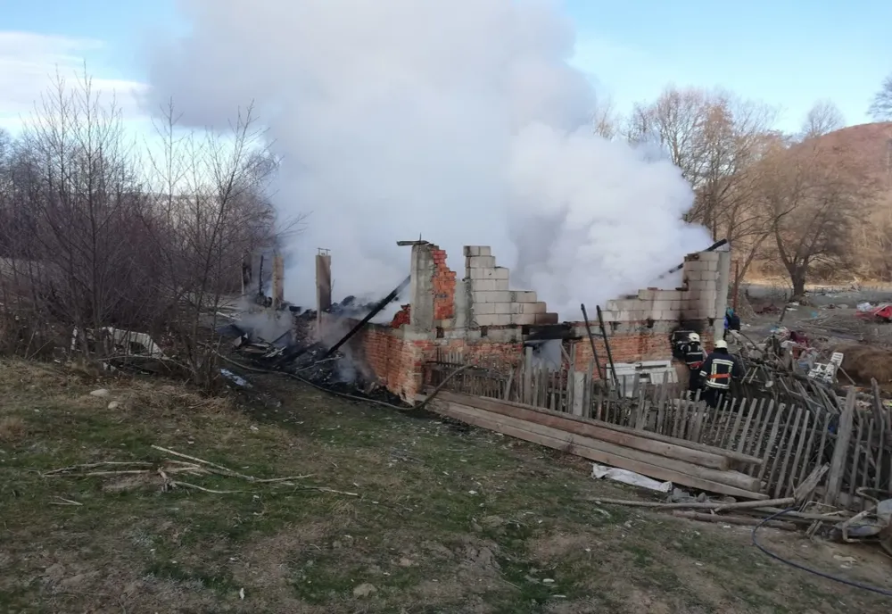 Animale moarte într-un incendiu pus intenționat în vestul țării
