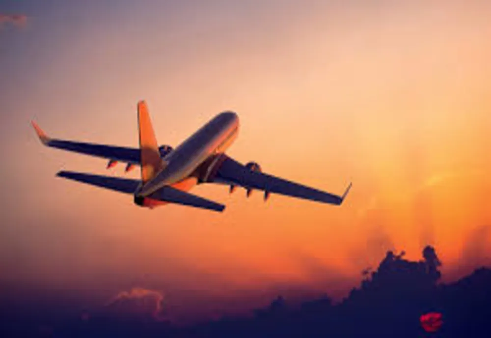 De la Timișoara spre Germania: încă un avion cu sezonieri