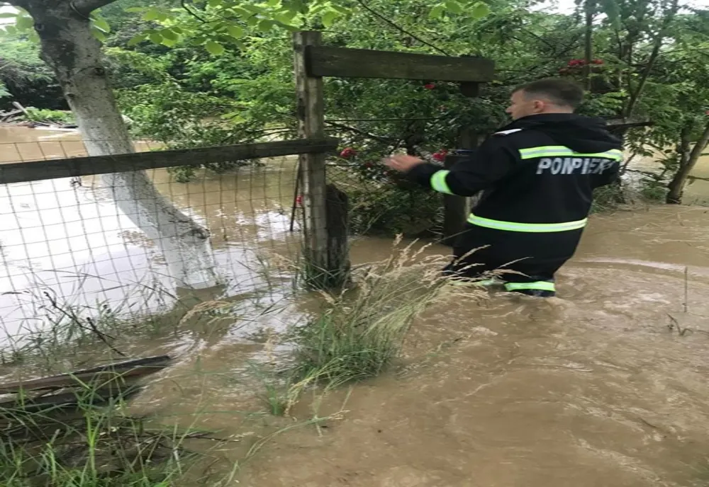 Coduri roșii, valabile în Timiș