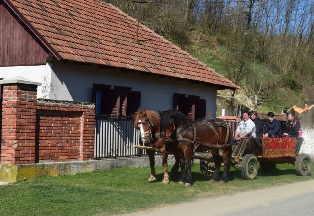 Discover Timiș, comuna Margina, evadare din cotidian. Video