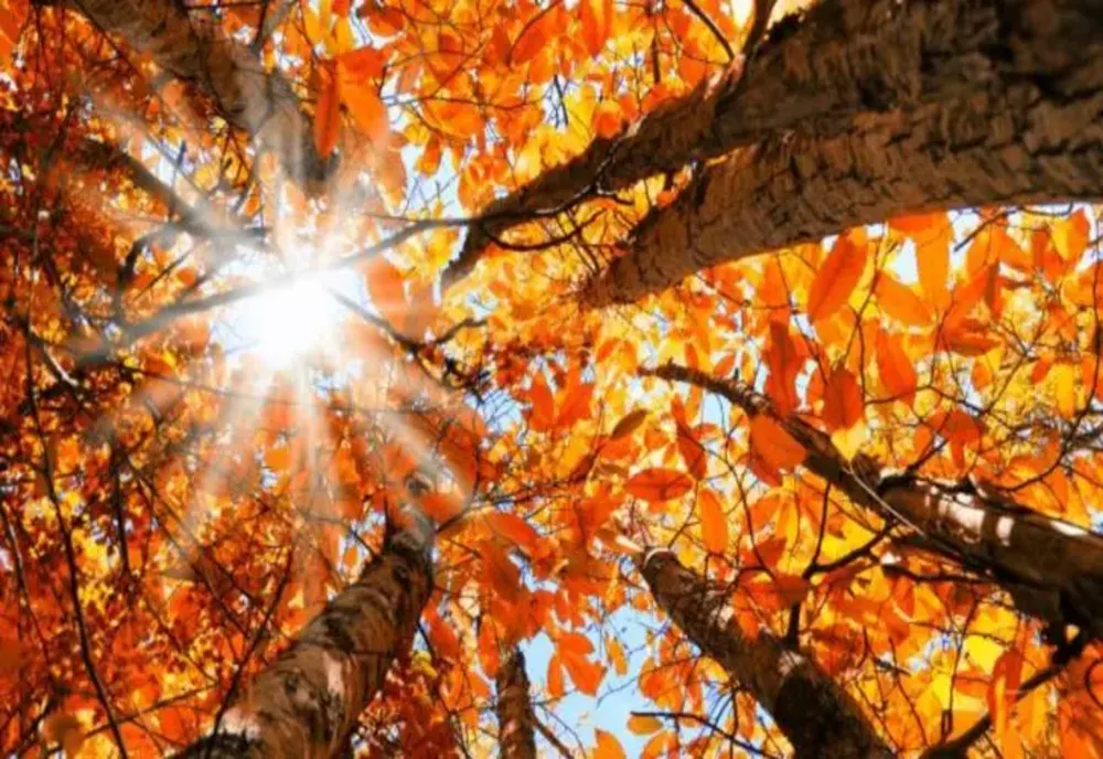 Temperaturi neobișnuit de mari, pe final de septembrie. Zonele lovite de ploi - prognoza meteo pe o lună