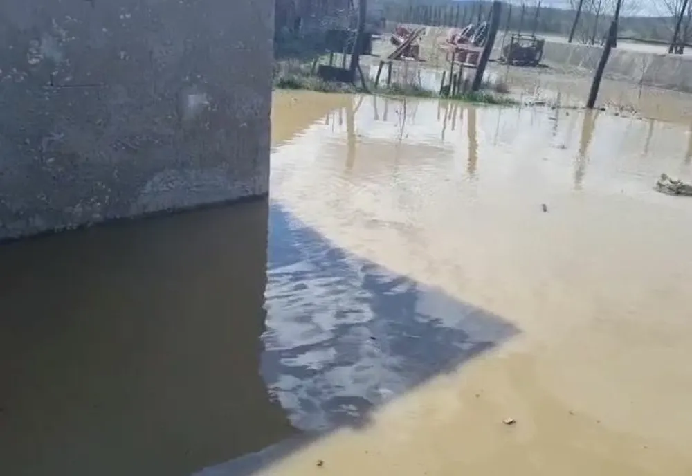 O rupere de nori a inundat mai multe gospodării, în județul Timiș. Unde a lovit URGIA