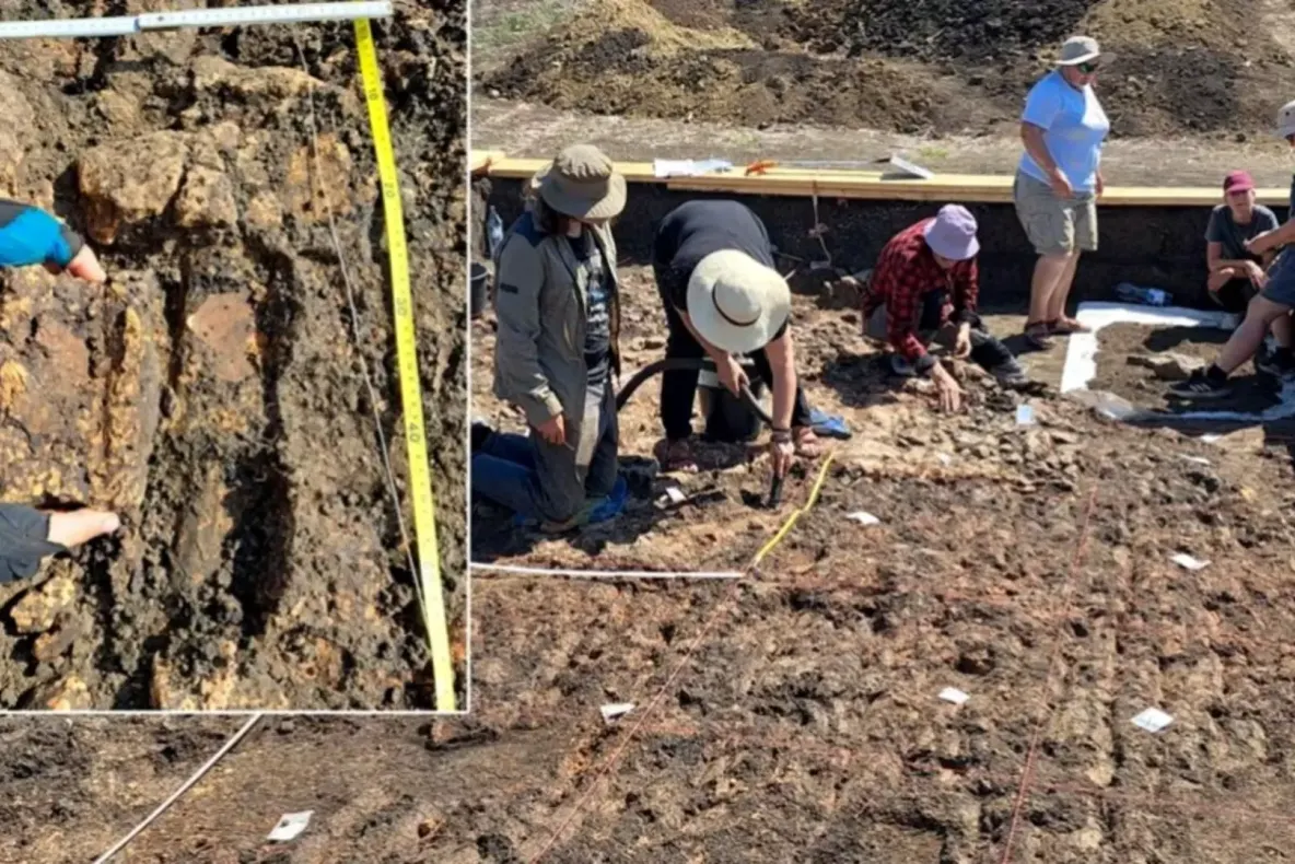 Descoperire arheologică uriașă. Cum se trăia în România acum 6.000 de ani: fără lideri, fără elite, sistem social egalitar