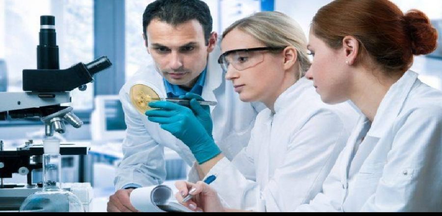 Noaptea cercetătorilor se sărbătorește la Timișoara cu experimente și ateliere