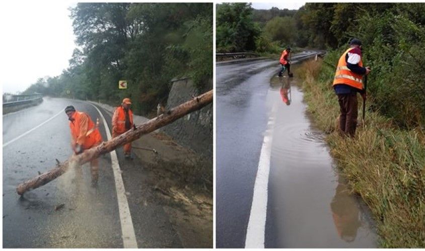 Copaci căzuți și drumuri inundate după codul galben