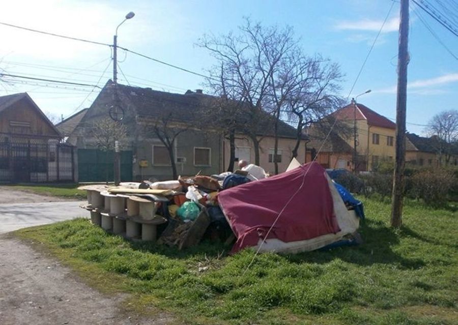 Primarul Timișoarei declară război celor care aruncă gunoiul după bunul plac
