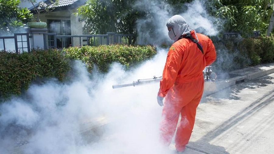 Amenzi date de polițiștii locali din Timișoara pentru timișorenii care nu s-au ocupat de deratizare și dezinsecție