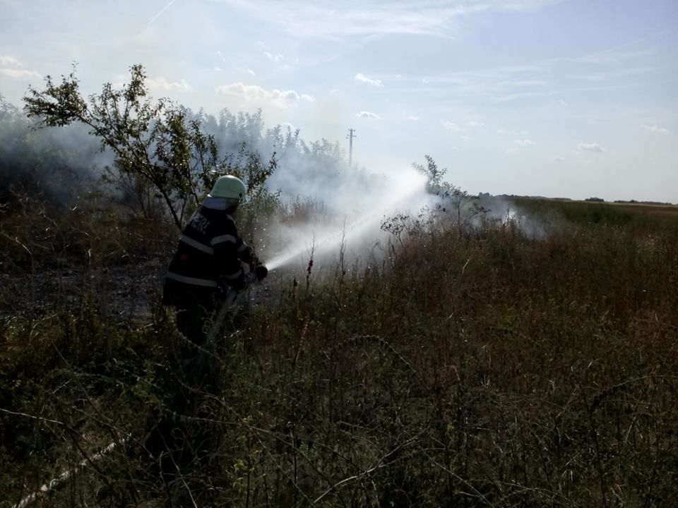 Incendiile de vegetație le dau bătăi de cap pompierilor din Timiș
