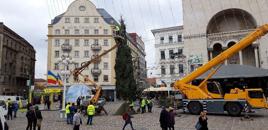 Pregătirile pentru Târgul de Crăciun de la Timișoara, în linie dreaptă. A fost adus bradul din Italia. Foto