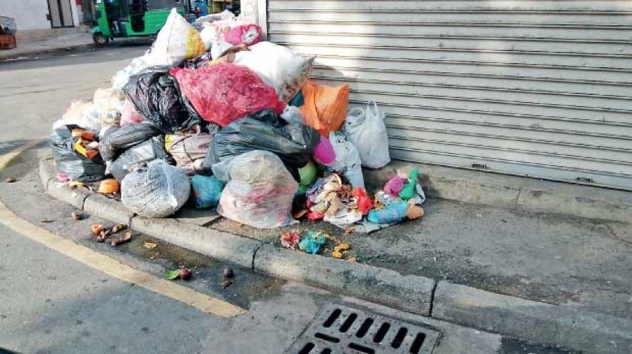 Fără curățenie pe străzile Timișoarei