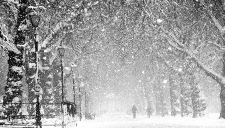 Zile înghețate în Banat