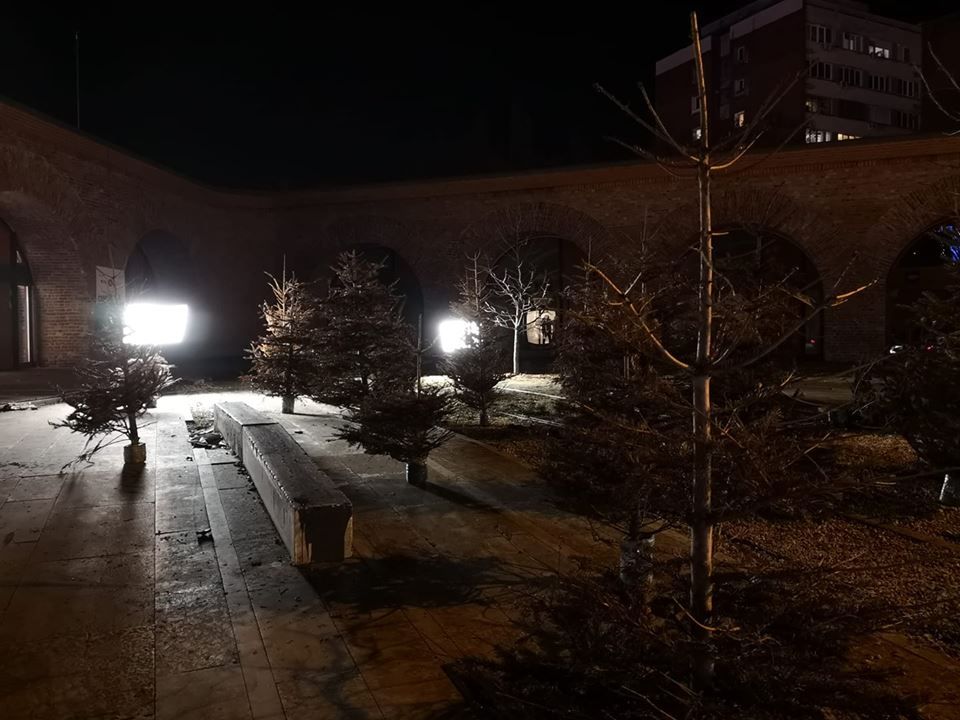 Unde se duc brazii după sărbători