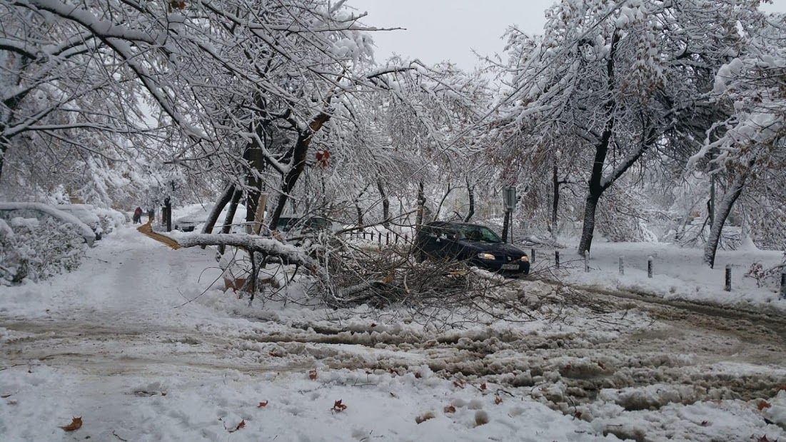 Avalanșă de urgențe, în Timișoara, din cauza zăpezii