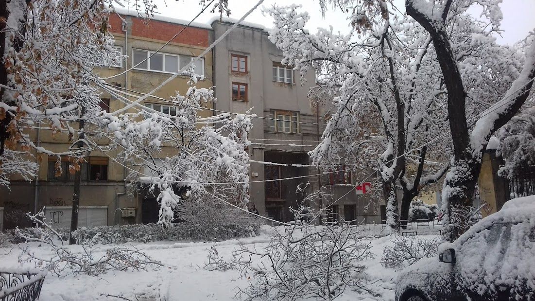 Timișoara, paralizată de nămeți. Foto și video