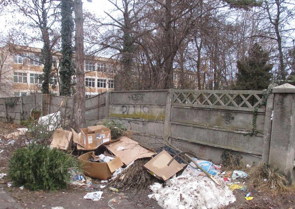 Războiul cu gunoiul continuă pe străzile din Timișoara