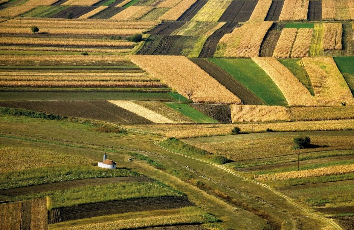 Banatul în spectacol, rezervă-ți loc la Timișoara
