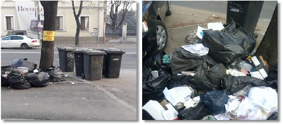 Sute de amenzi pentru oamenii care aruncă gunoi pe străzi, în Timișoara