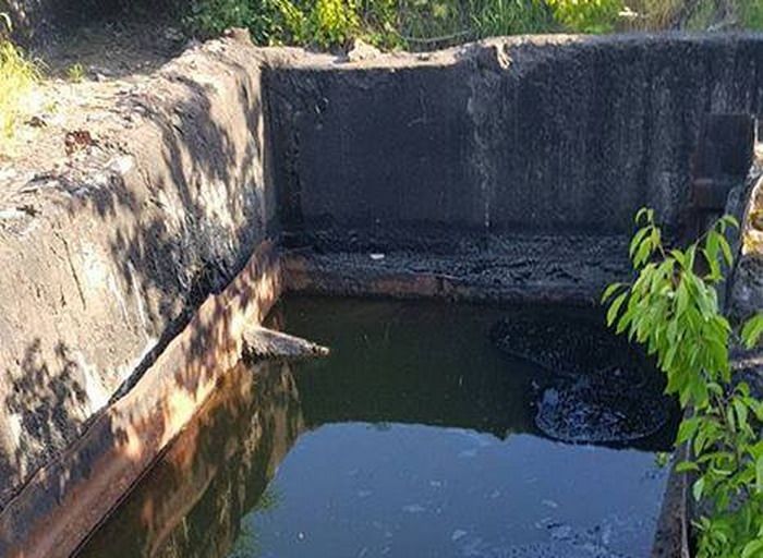 Câini căzuți într-un bazin cu smoală, pompierii au intervenit