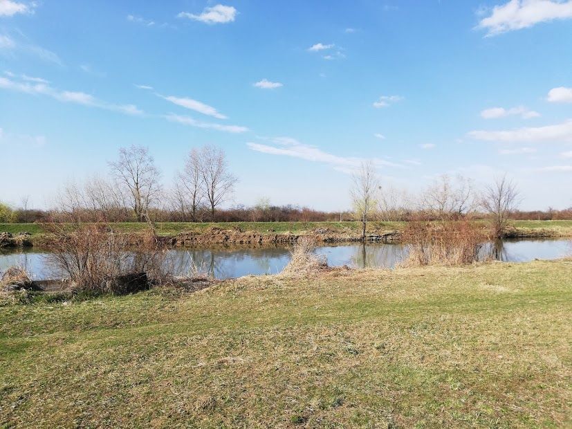 Călătorie pe  Bega până dincolo de granițe