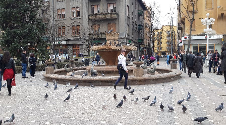 Un monument simbol din Timișoara intră în renovare. Foto