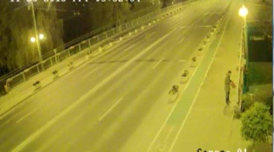 Nu sunt nici măcar pe placul timișorenilor. Panseluțe distruse de un tânăr pe Podul Michelangelo din Timisoara