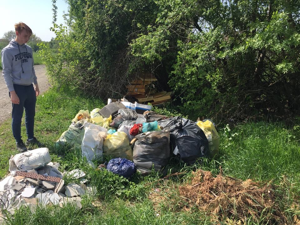 Curățenie generală pe bază de voluntariat