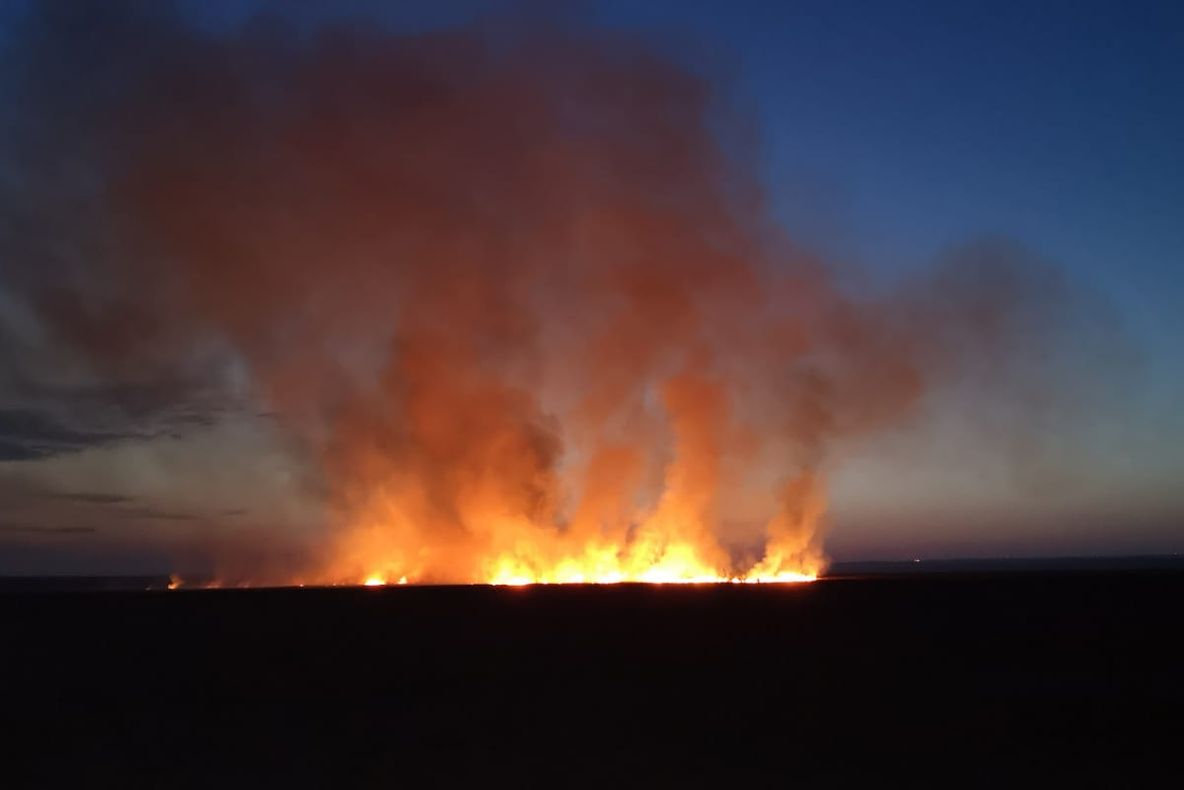 Incendiu la o fabrică din Timișoara