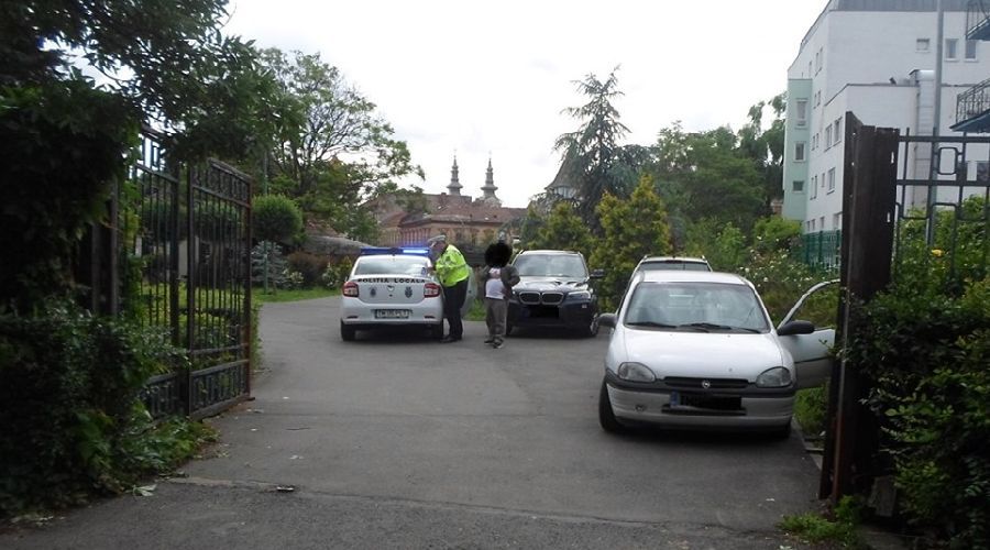 Amenzi pentru șoferii care și-au parcat mașinile în parcurile aflate aproape de în centrul Timișoarei