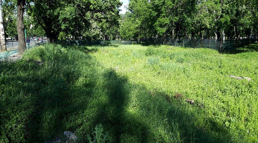 Skatepark nou amenajat în zona centrala, la Timișoara. Foto