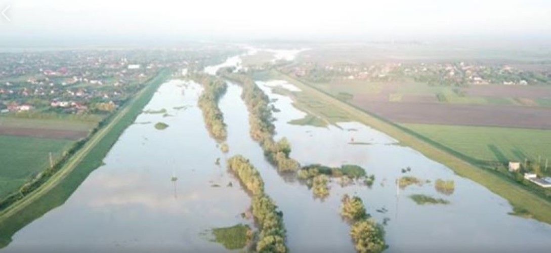 Apele Timișului, ieșite din matcă aproape de Timișoara. Video