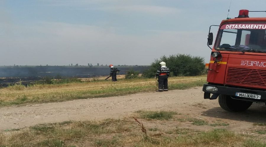 Zeci de hectare de vegetatie în flăcări, în apropiere de Timișoara