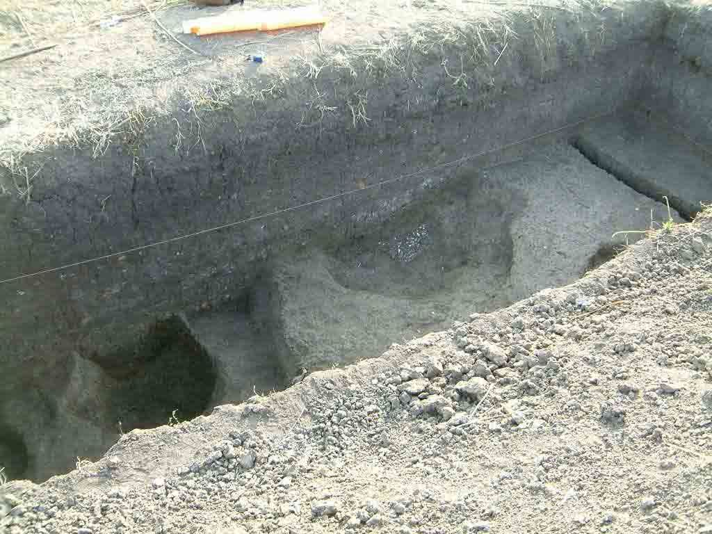 Descoperiri valoroase pe un șantier arheologic din Timiș