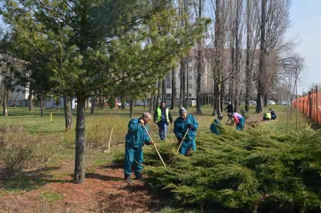Un nou parc în Timișoara, după dezastrul spațiilor verzi din oraș