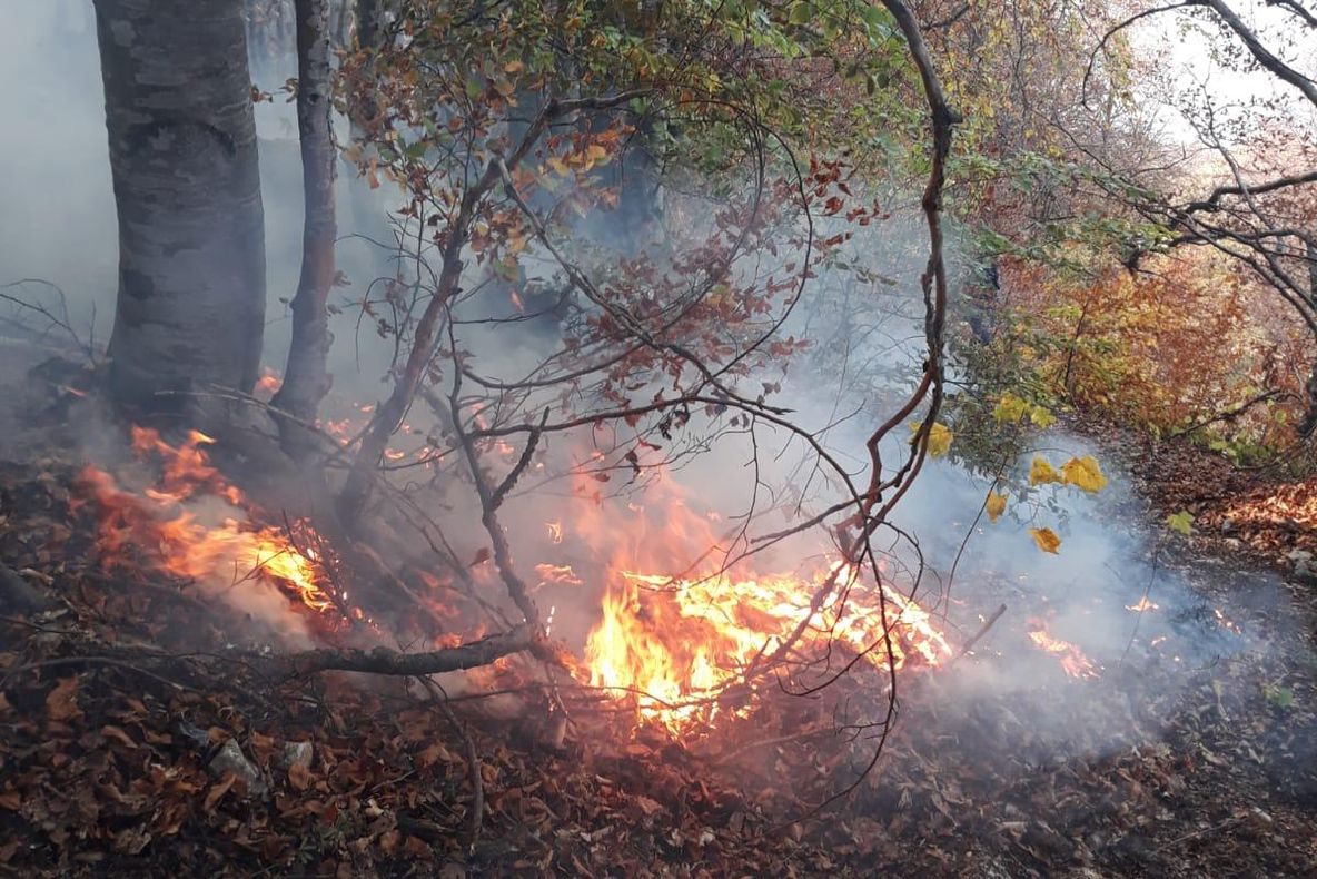 Incendiu devastator în Timișoara. Casă cuprinsă de flăcări. VIDEO!