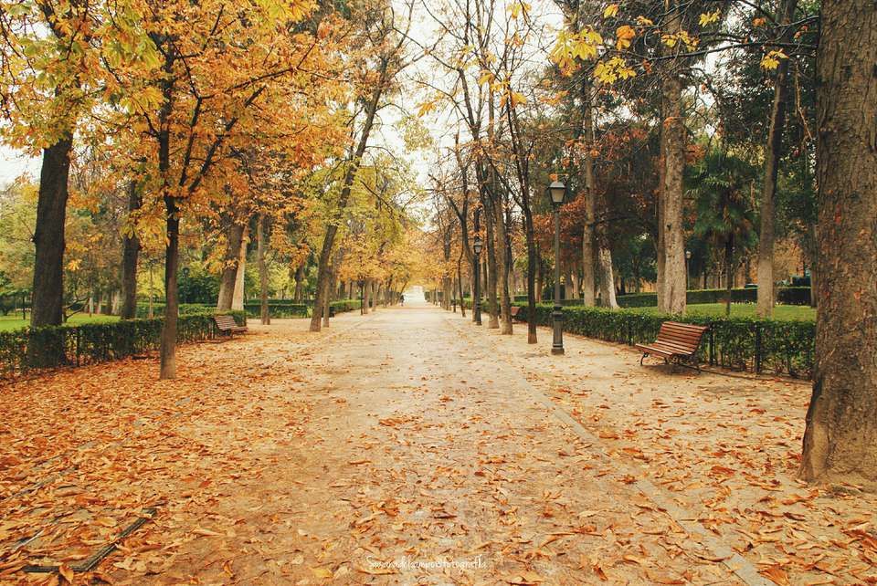 Weekend cu timp frumos, în Banat. Cât mai ține vremea bună