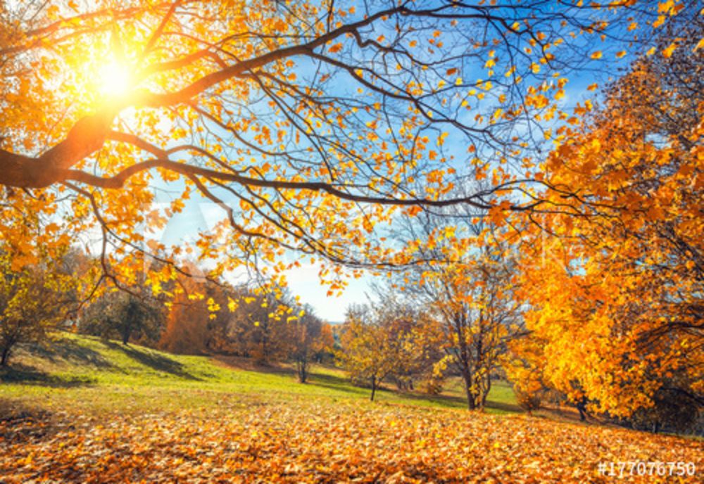 Vreme frumoasă și caldă la final de săptămână