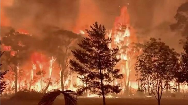 Unul dintre cele mai puternice incendii din Australia este sub control, după mai bine de două luni